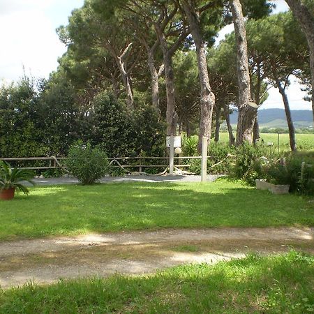 Agriturismo Ternova Alberese Eksteriør bilde