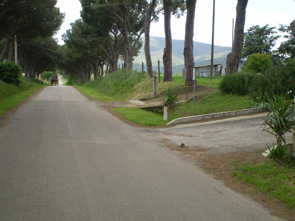 Agriturismo Ternova Alberese Eksteriør bilde